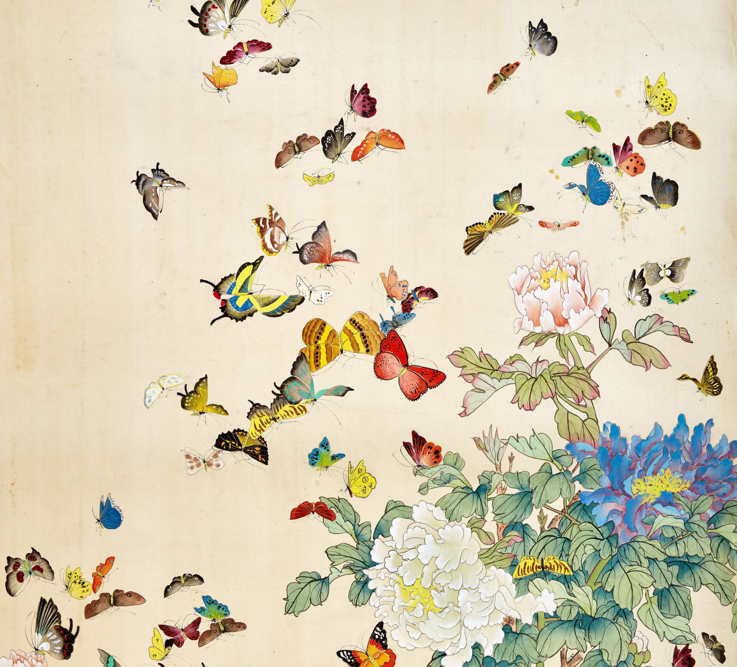 Butterfly Antique 460tc Complete Sheet Set